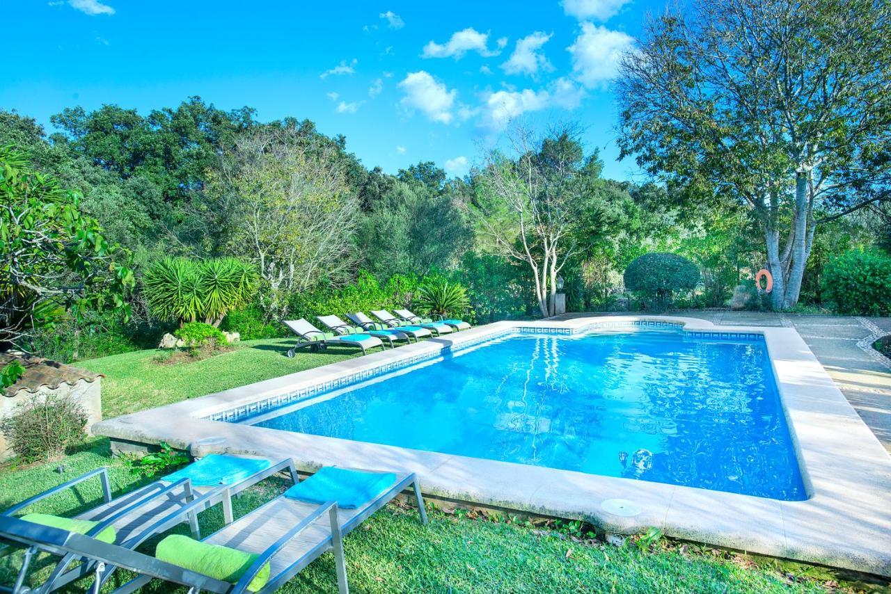 Owl Xino - 10 Min Walk To The Old Town Villa *