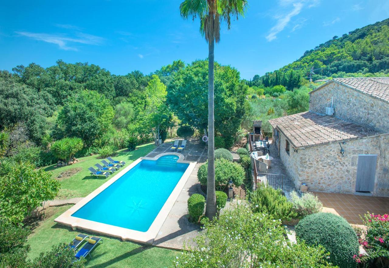 Owl Xino - 10 Min Walk To The Old Town Villa *