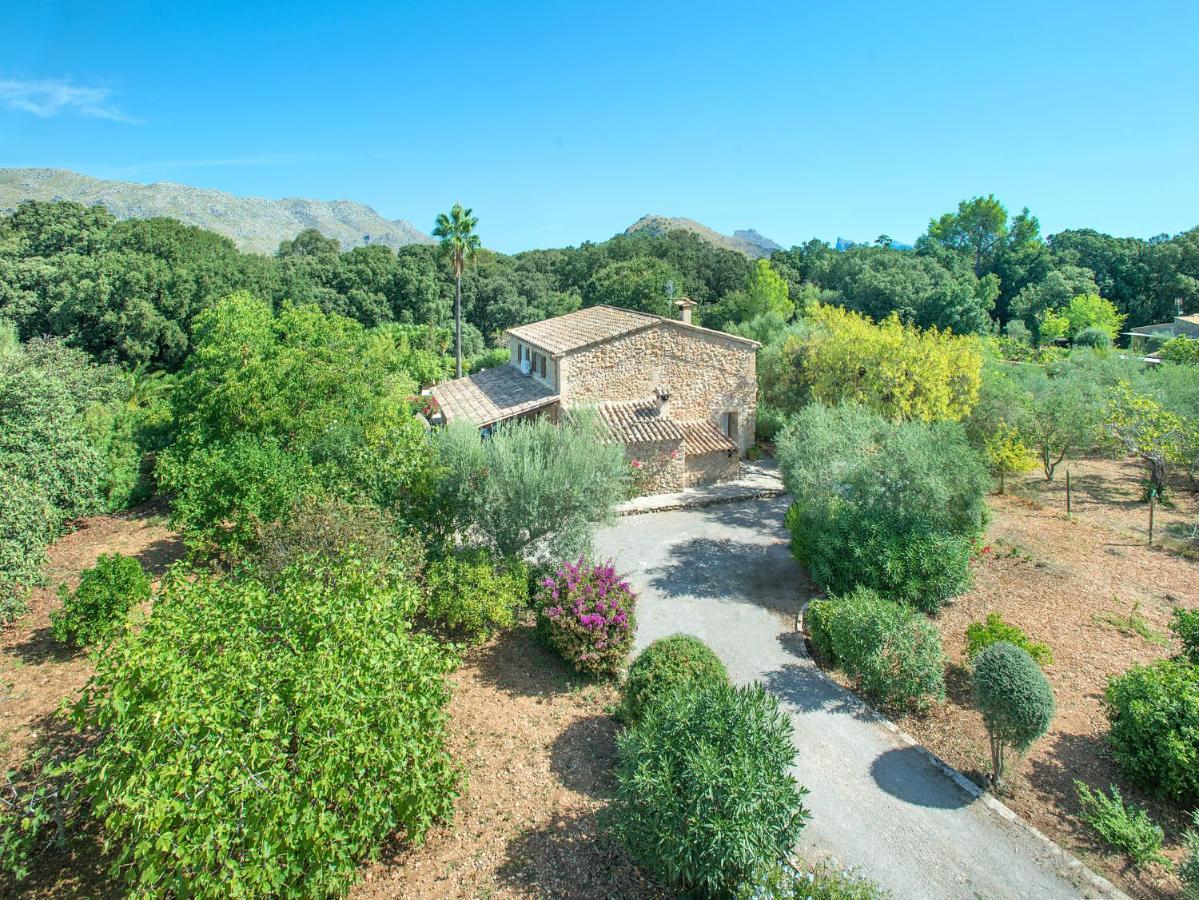 Owl Xino - 10 Min Walk To The Old Town Villa